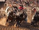 calgary stampede